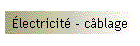 lectricit - cblage