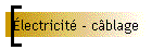 lectricit - cblage