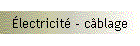 lectricit - cblage